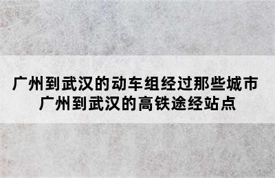 广州到武汉的动车组经过那些城市 广州到武汉的高铁途经站点